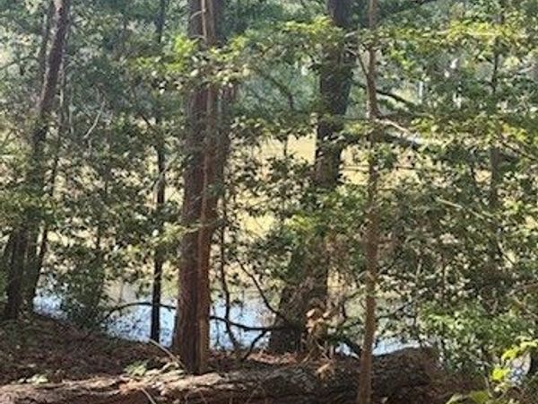 Lot 39 Sweetbriar Lane, Montross, VA 22520