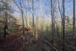 521 Mount Valley Road photo 4