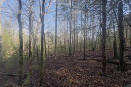 521 Mount Valley Road photo 4