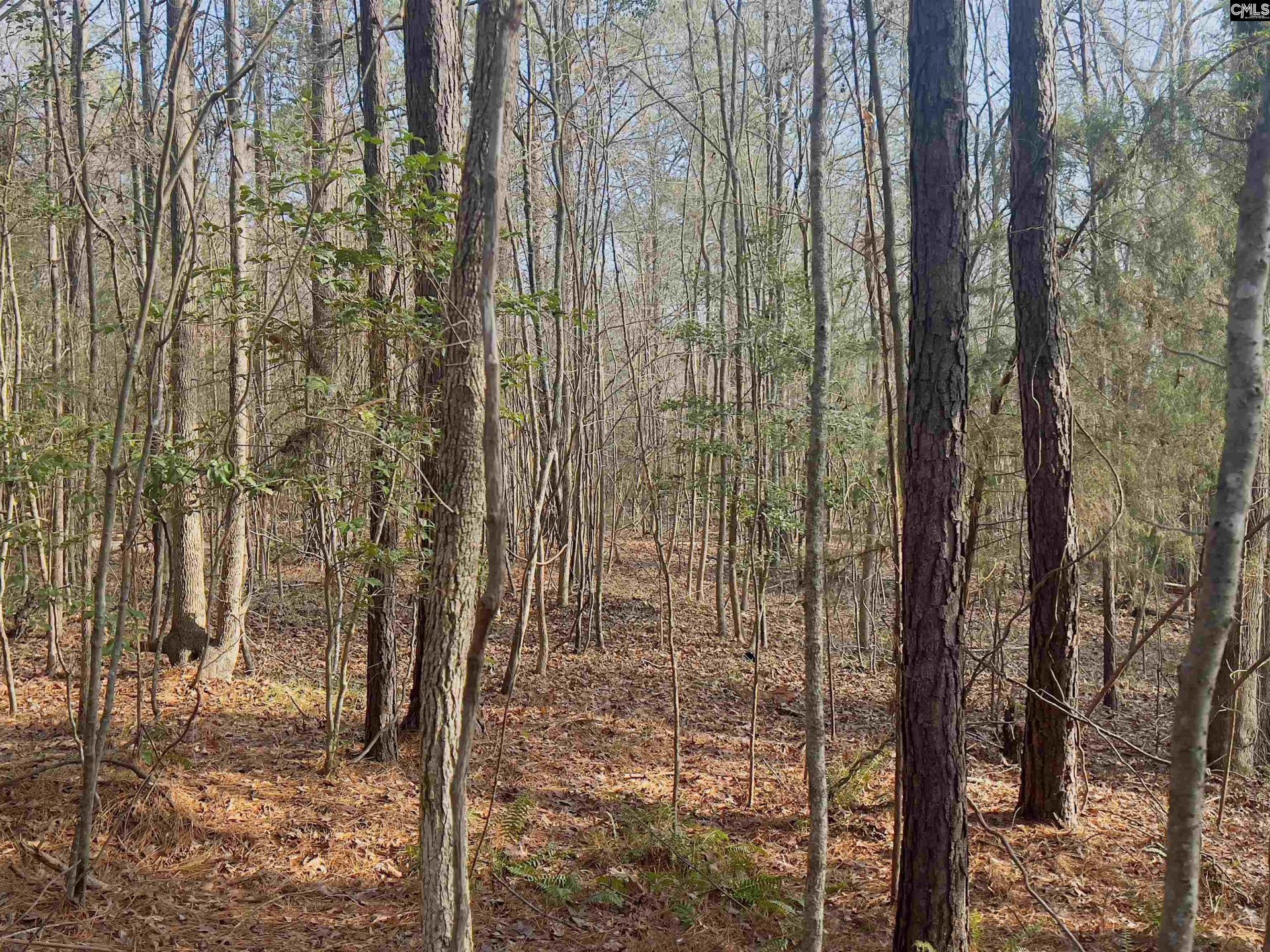 521 Mount Valley Road Photo 5