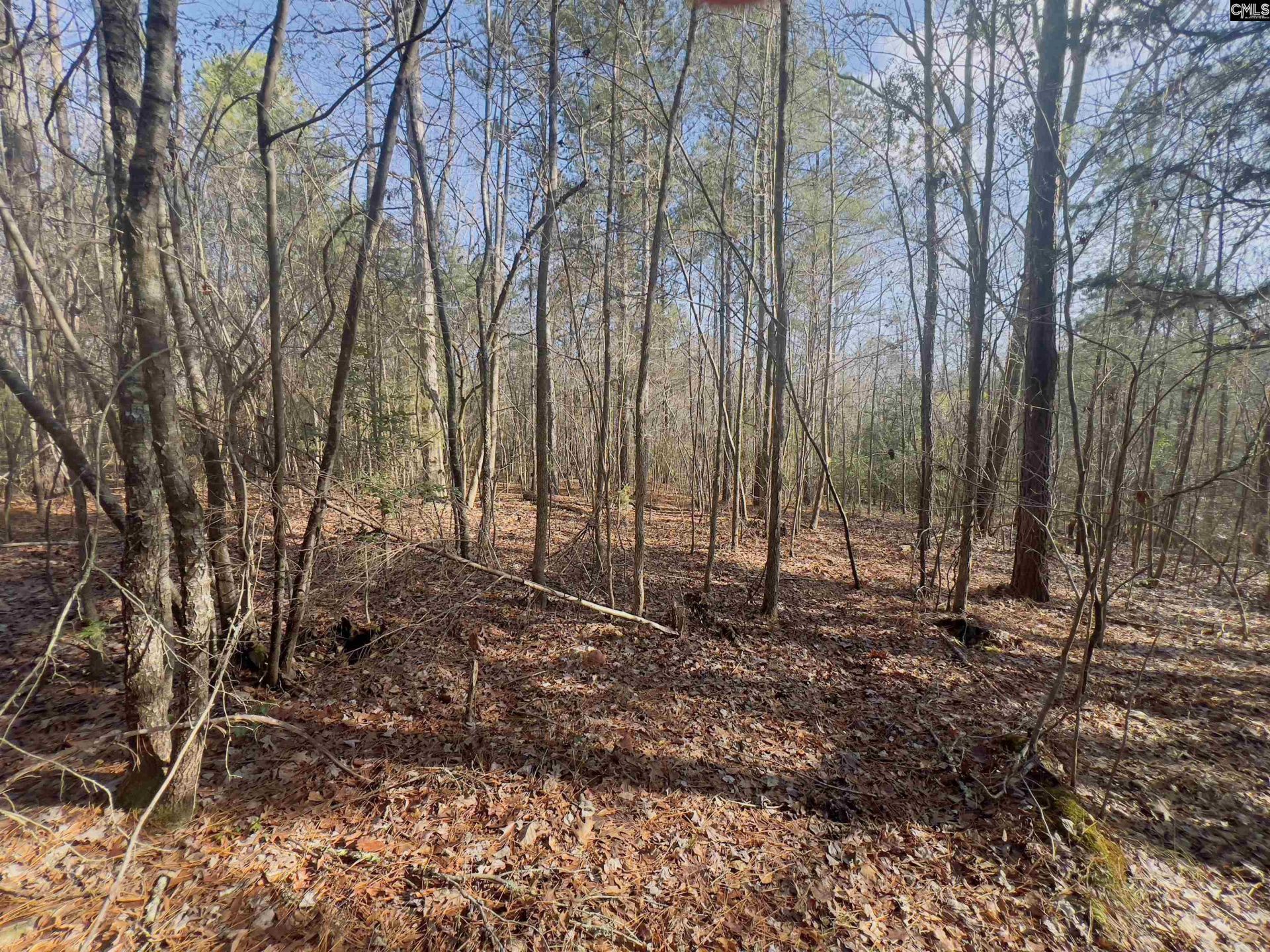 521 Mount Valley Road Photo 6