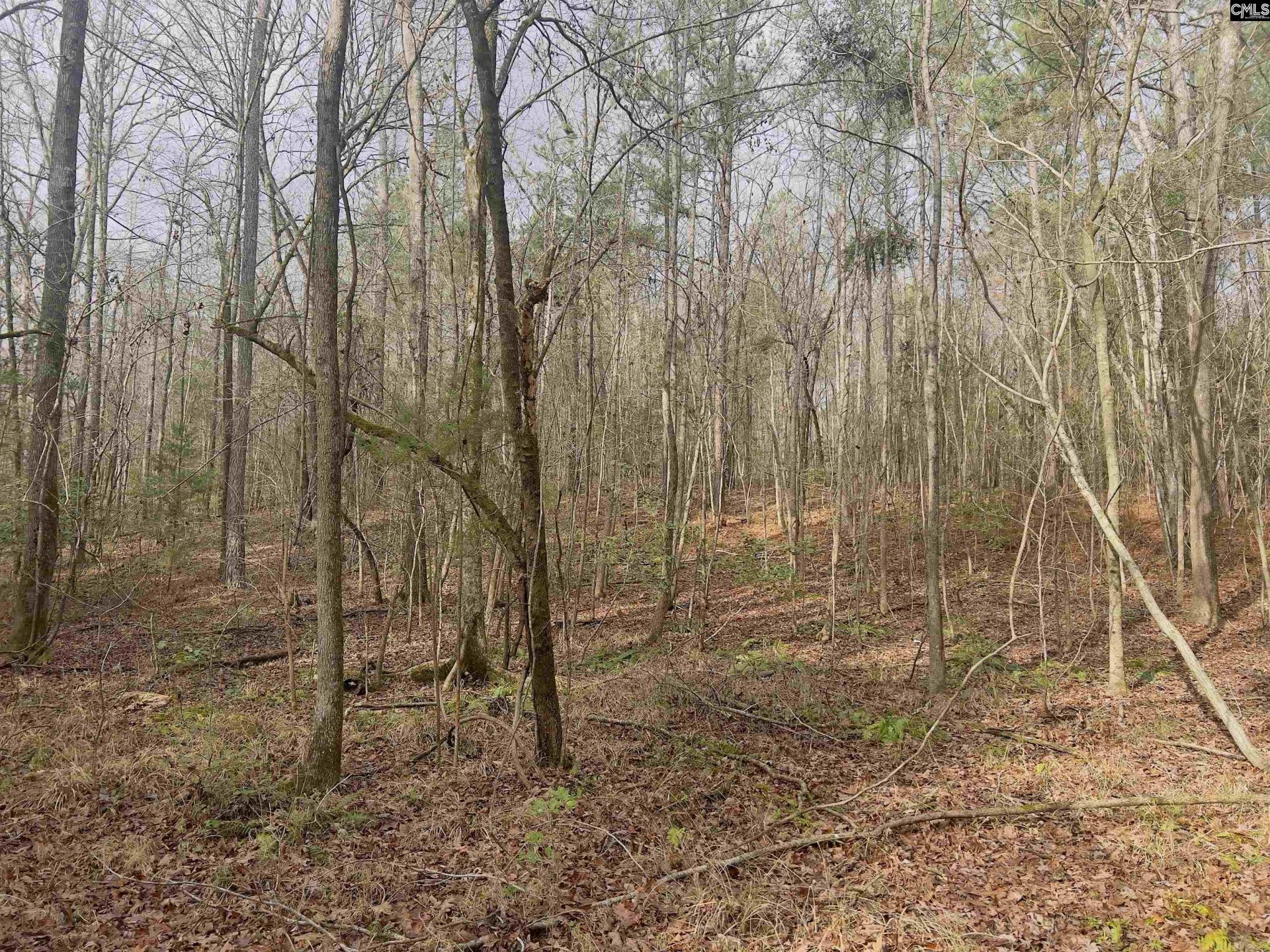 521 Mount Valley Road Photo 7