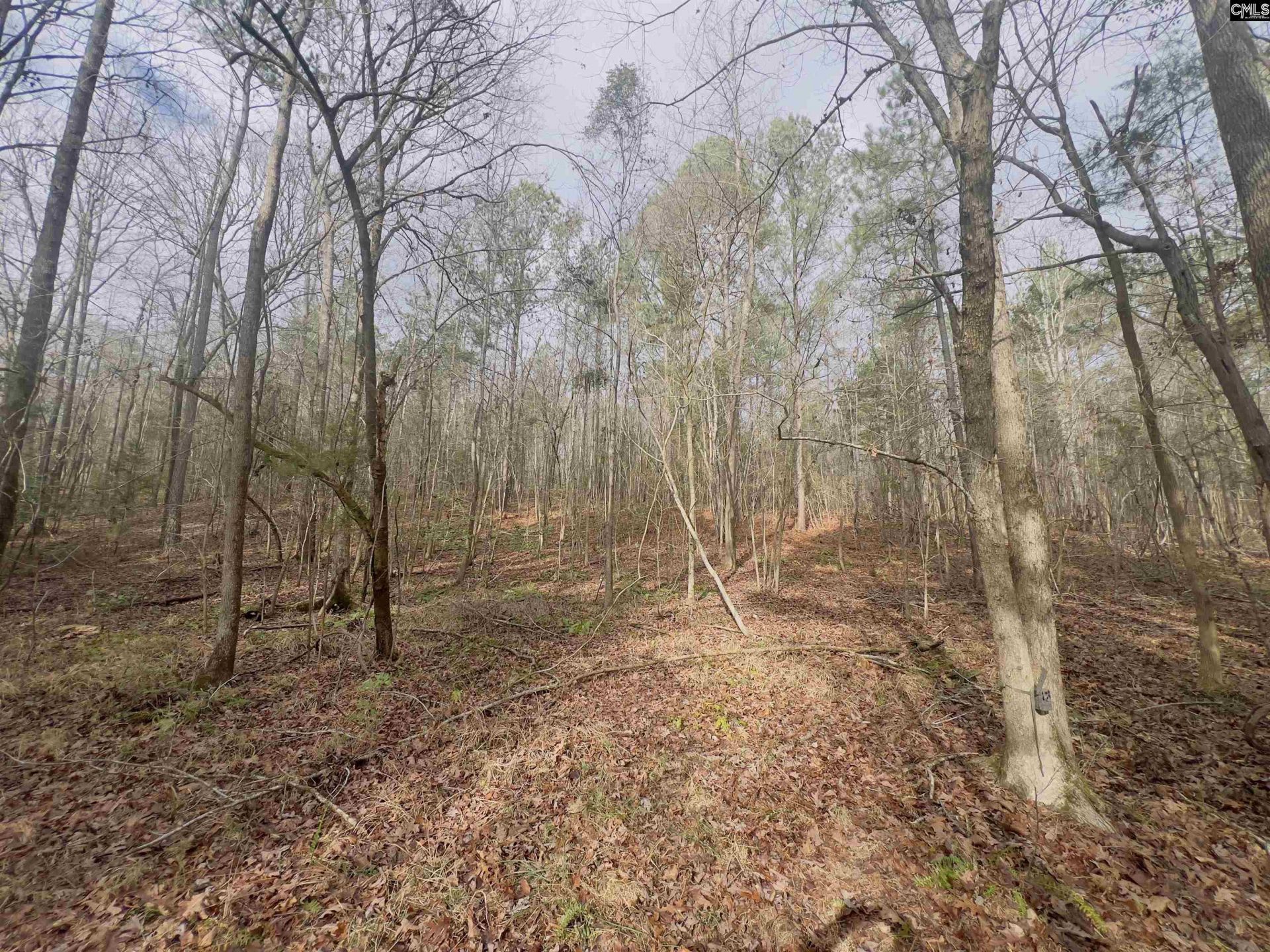 521 Mount Valley Road Photo 8