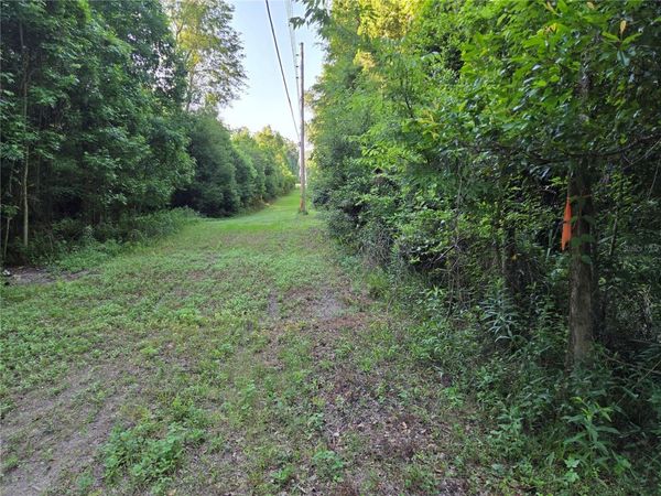 15929 NW 135TH TERRACE , ALACHUA, FL 32615