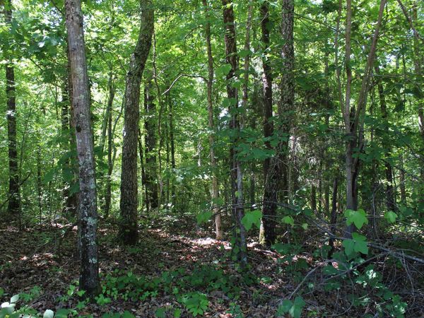 000 EBENEZER RD, Toone, TN 38381