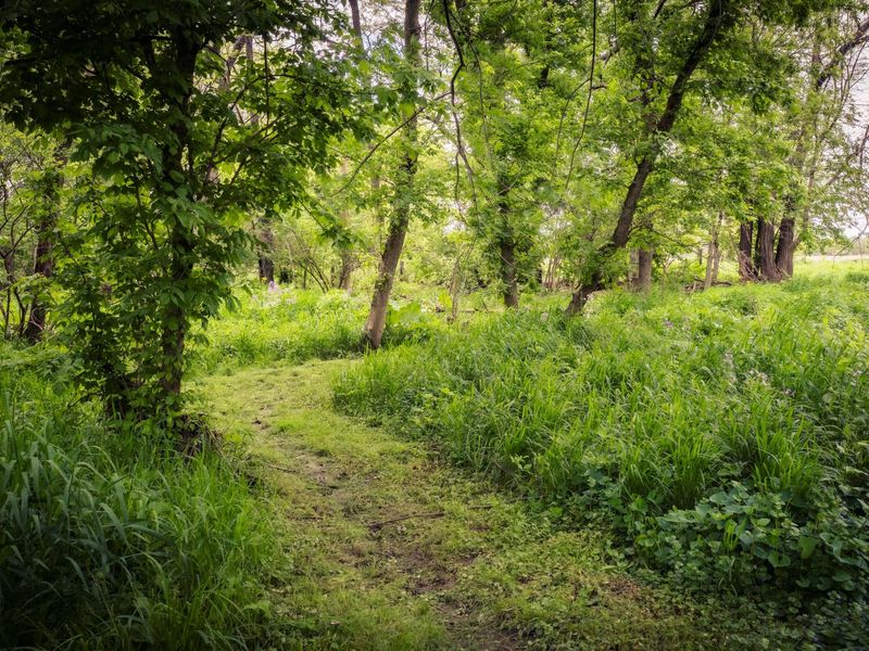 1448 Old Xenia Road SE, London, OH 43140 Photo 67