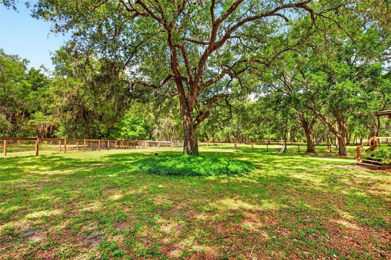 11630 SE 78th Street , Morriston, FL 32668 Photo