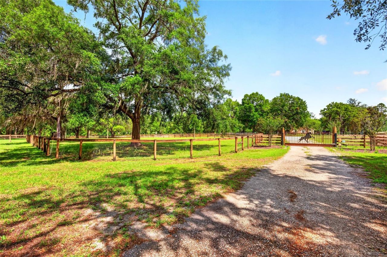 11630 SE 78th Street, Morriston, FL 32668 Photo