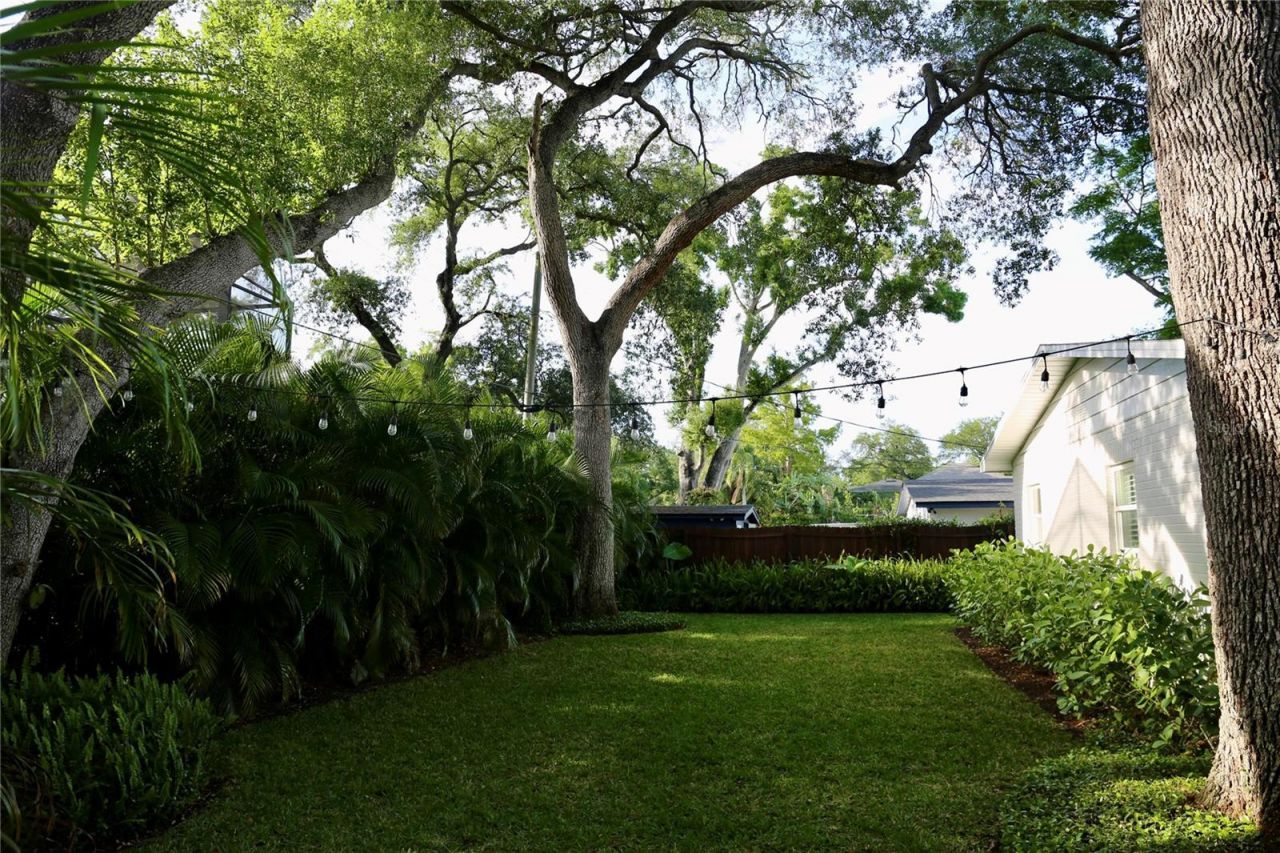4613 S Ferdinand Avenue, Tampa, FL 33611 Photo