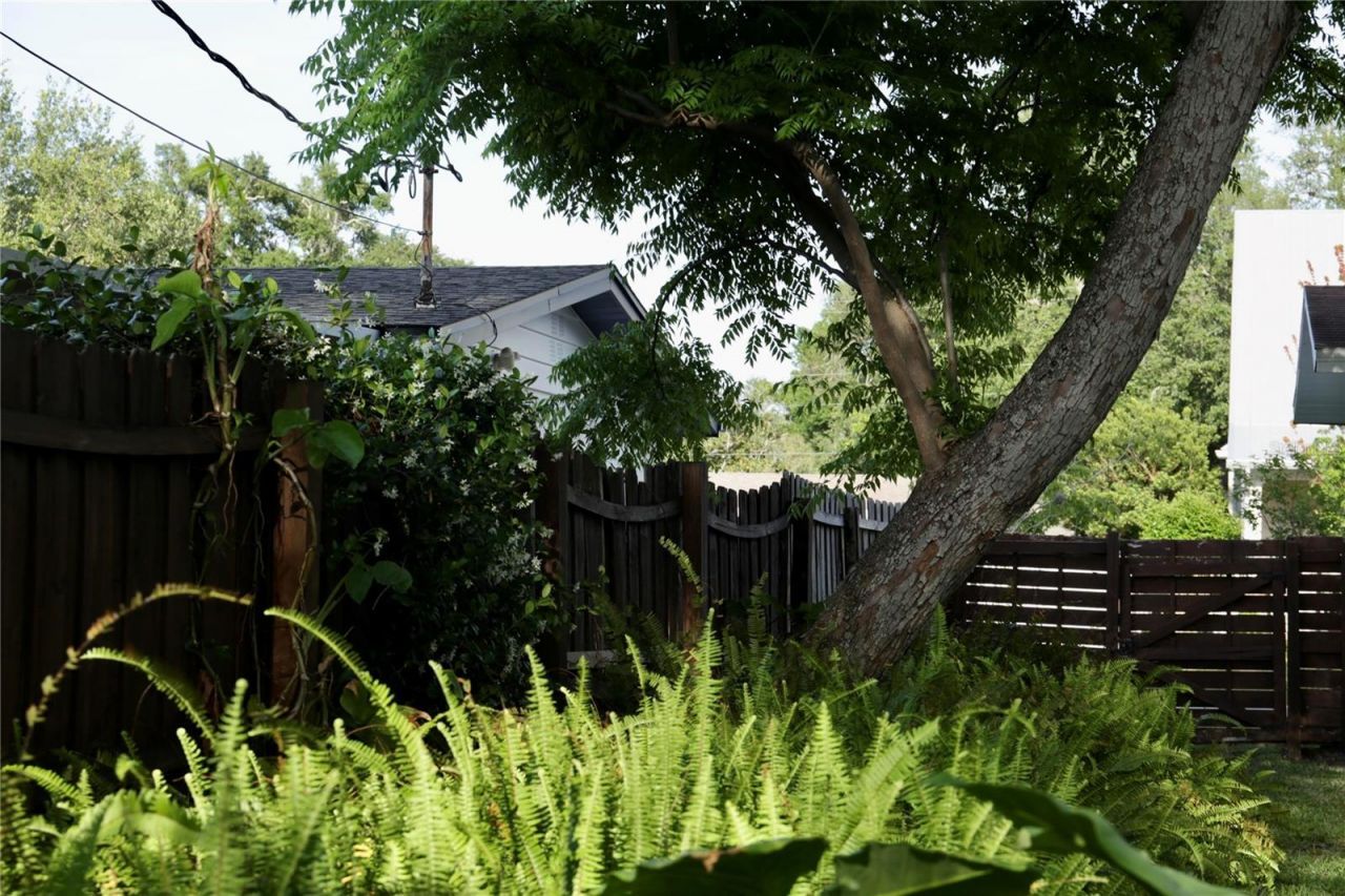 4613 S Ferdinand Avenue, Tampa, FL 33611 Photo