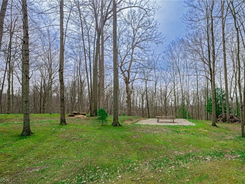 389 Bentleyville Road, Moreland Hills, OH 44022 Photo 3