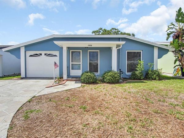 1009 CRANE COURT , DUNEDIN, FL 34698