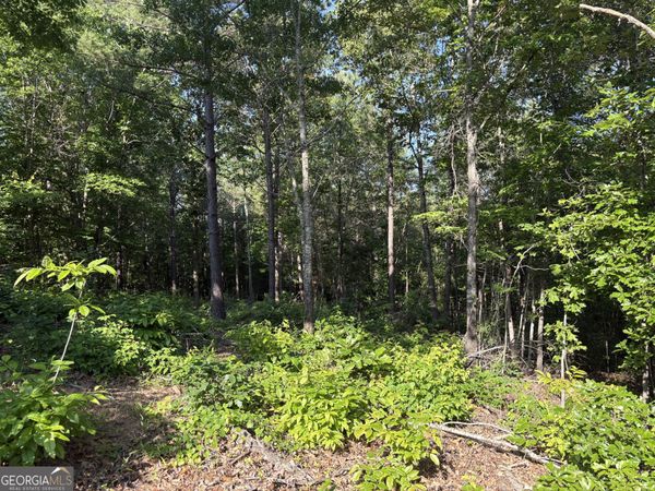 0 Anna Claire Court, Unit LOT 11, Monticello, GA 31064