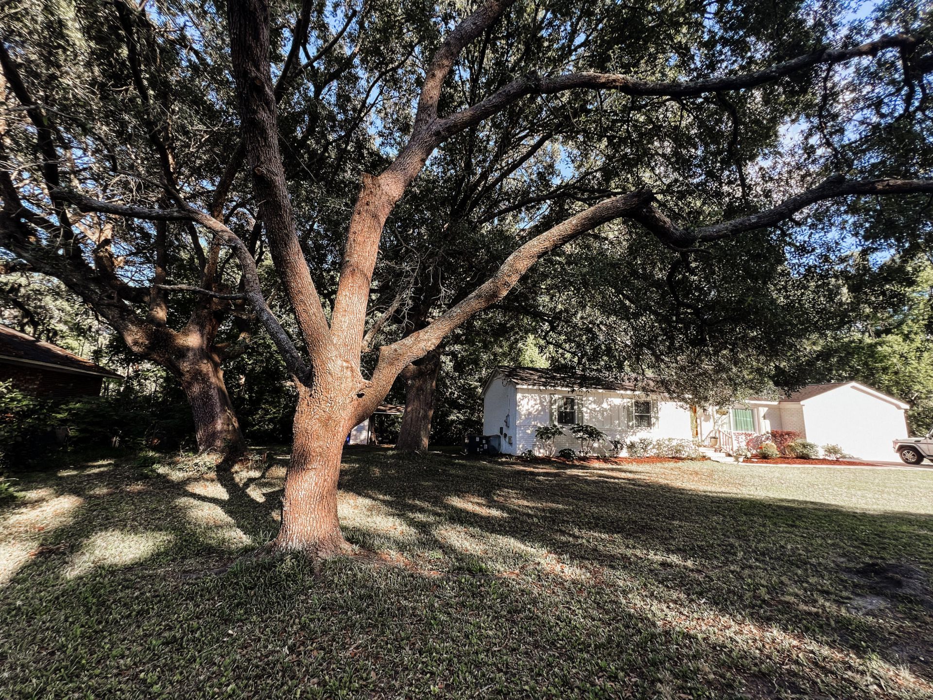2101 Tomedjan Circle Photo 44