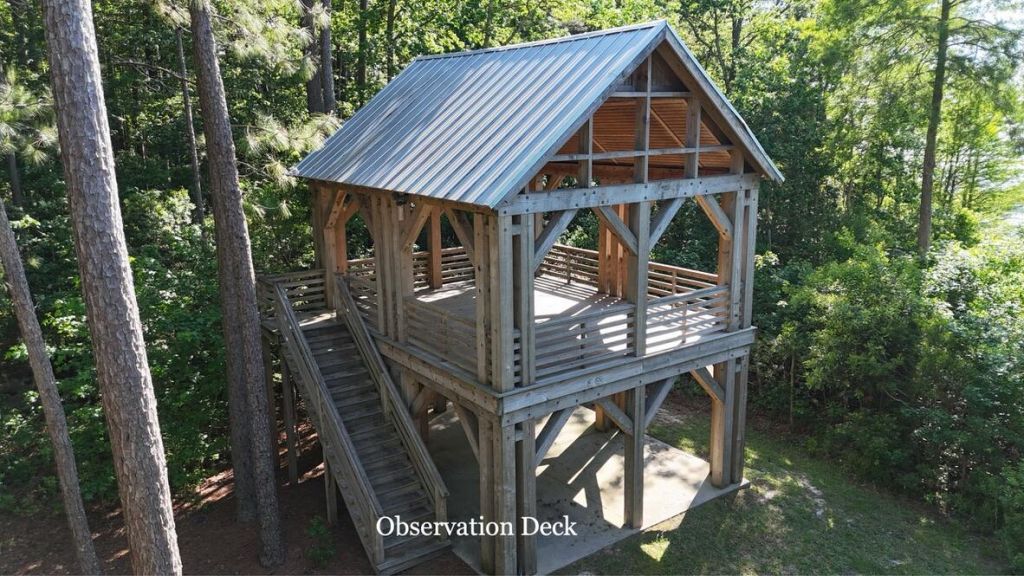 216 Summer Breeze Way Photo 59