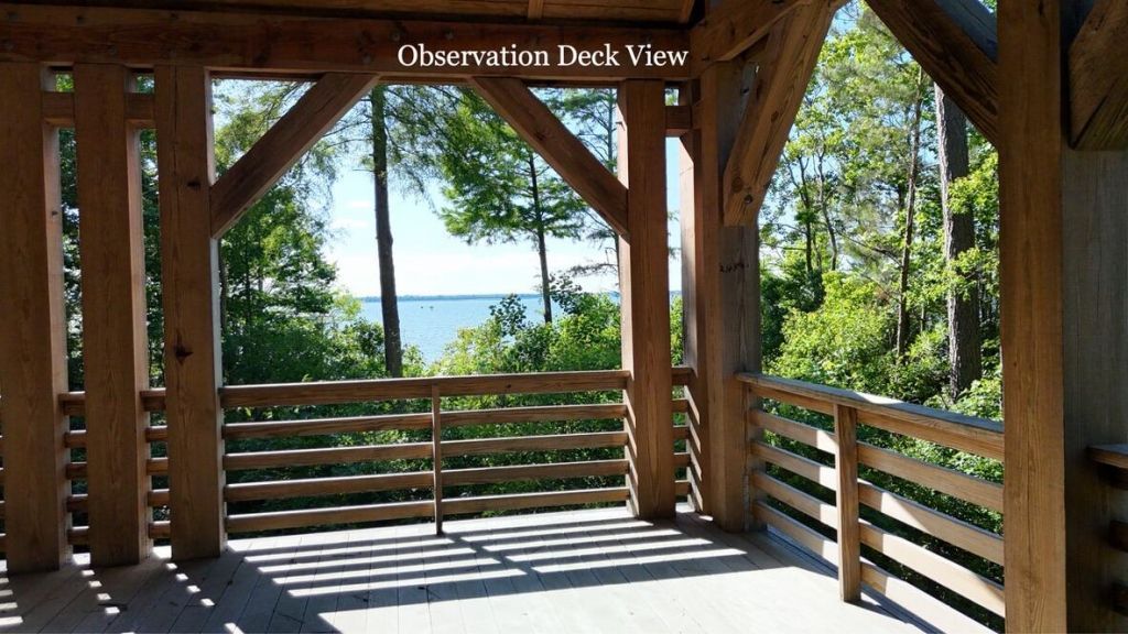 216 Summer Breeze Way Photo 60