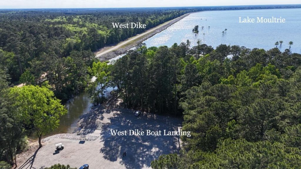 216 Summer Breeze Way Photo 62