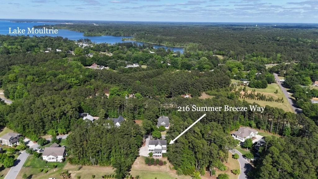216 Summer Breeze Way Photo 65