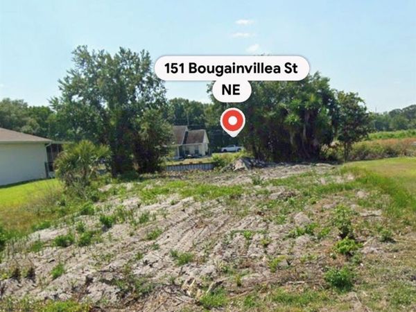 151 BOUGAINVILLEA STREET NE, LAKE PLACID, FL 33852
