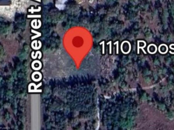 1110 Roosevelt ave, LEHIGH ACRES, FL 33936