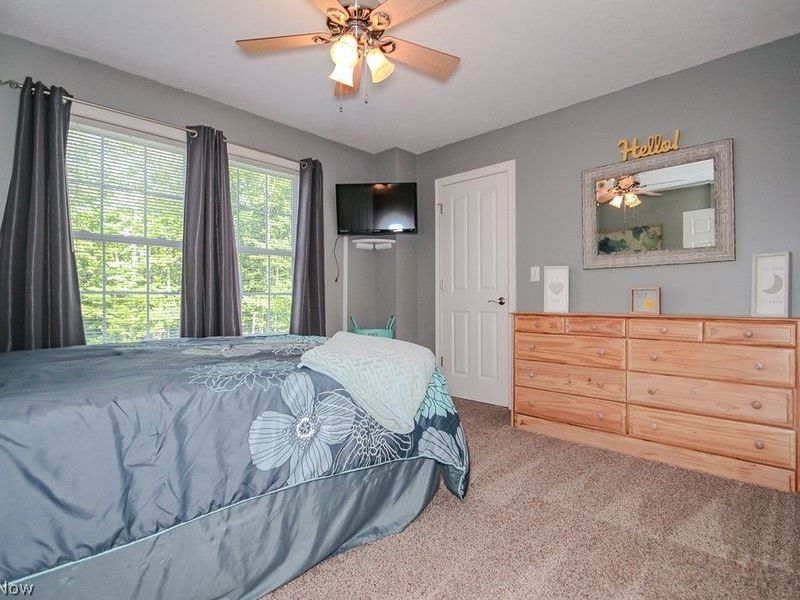 3991 N Myers Road, Geneva, OH 44041 Photo 33