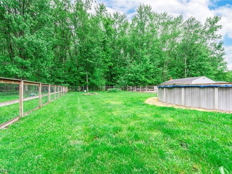 7461 Avon Belden Road, North Ridgeville, OH 44039 Photo 39