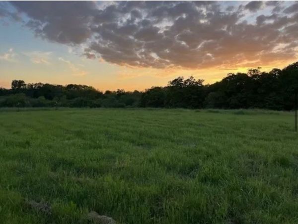 E McNelly Road , Bentonville, AR 72712