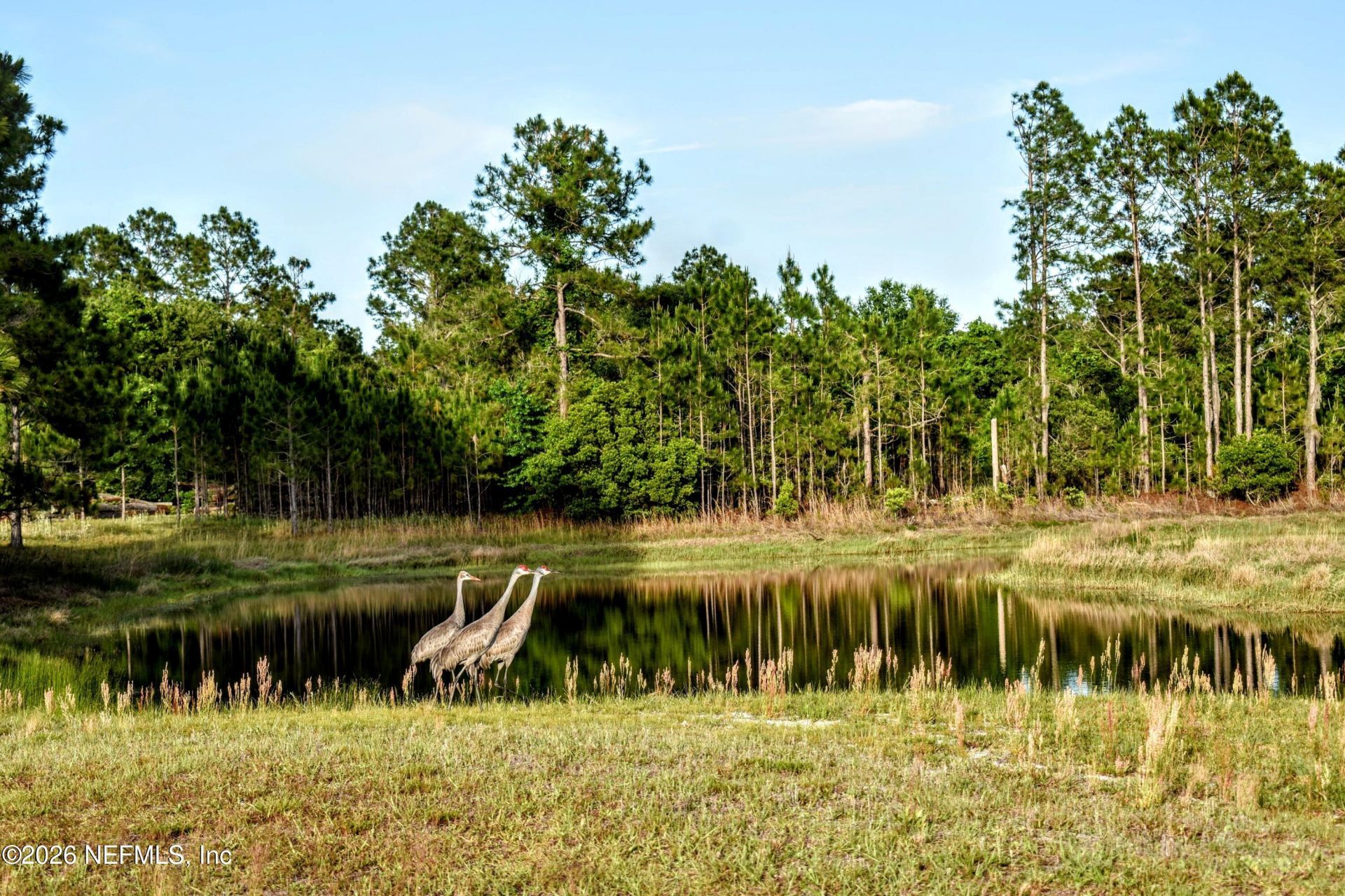 611 E State Road 100, San Mateo, FL 32187 Photo