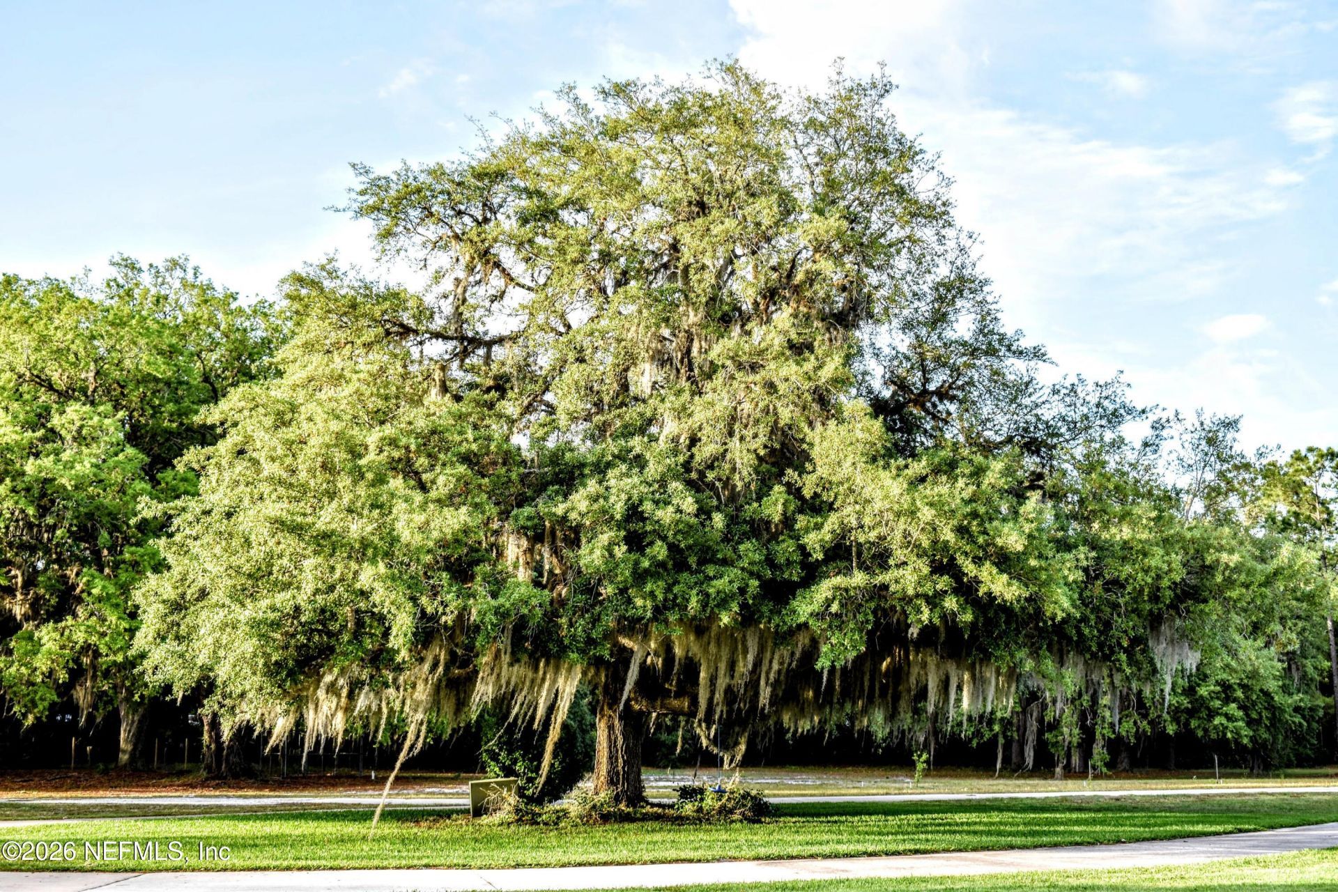 611 E State Road 100, San Mateo, FL 32187 Photo