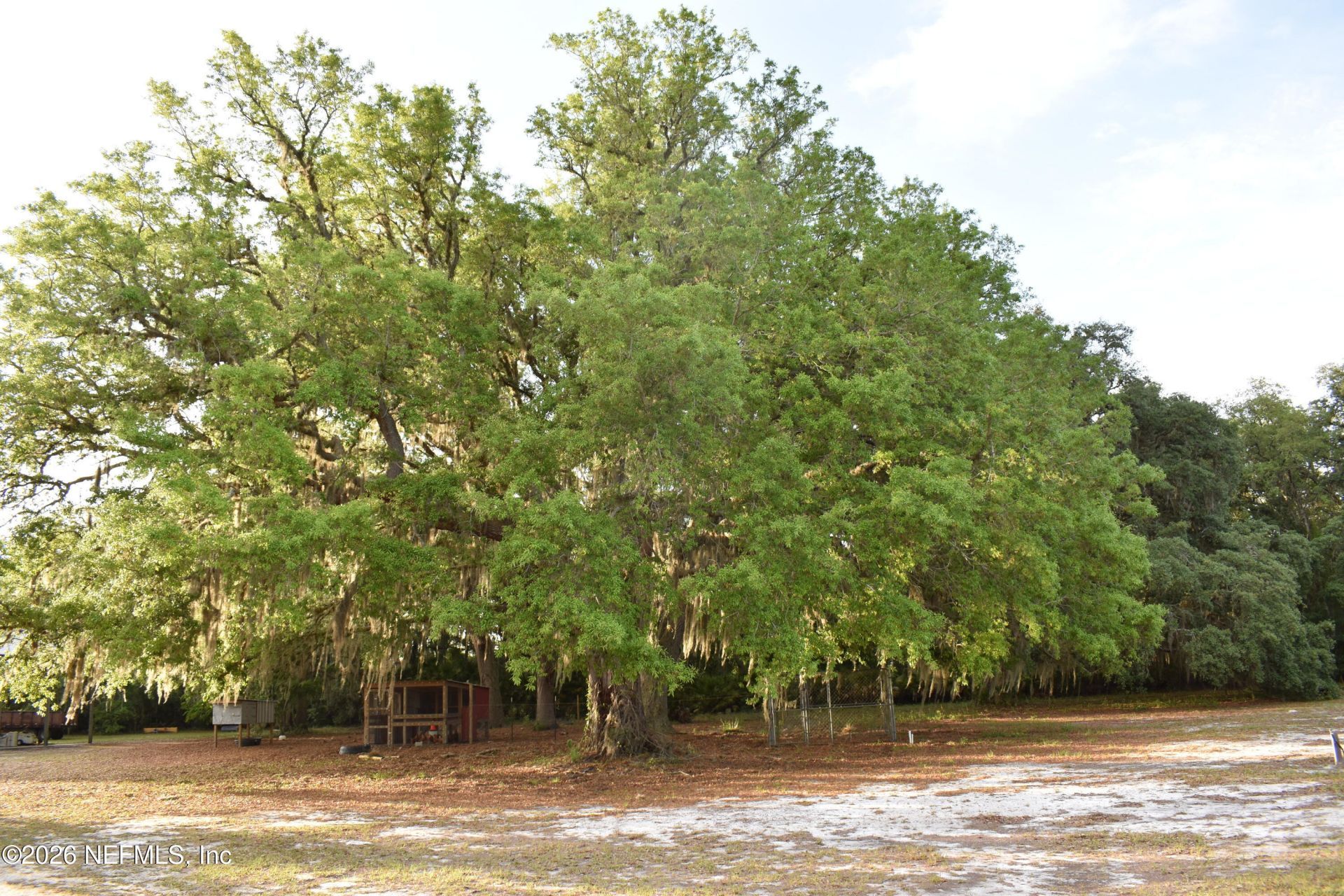 611 E State Road 100, San Mateo, FL 32187 Photo