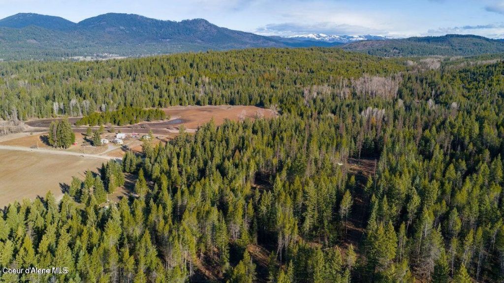 Nka Abundant Life (lot 3) Court, Athol, ID 83801 Main Photo