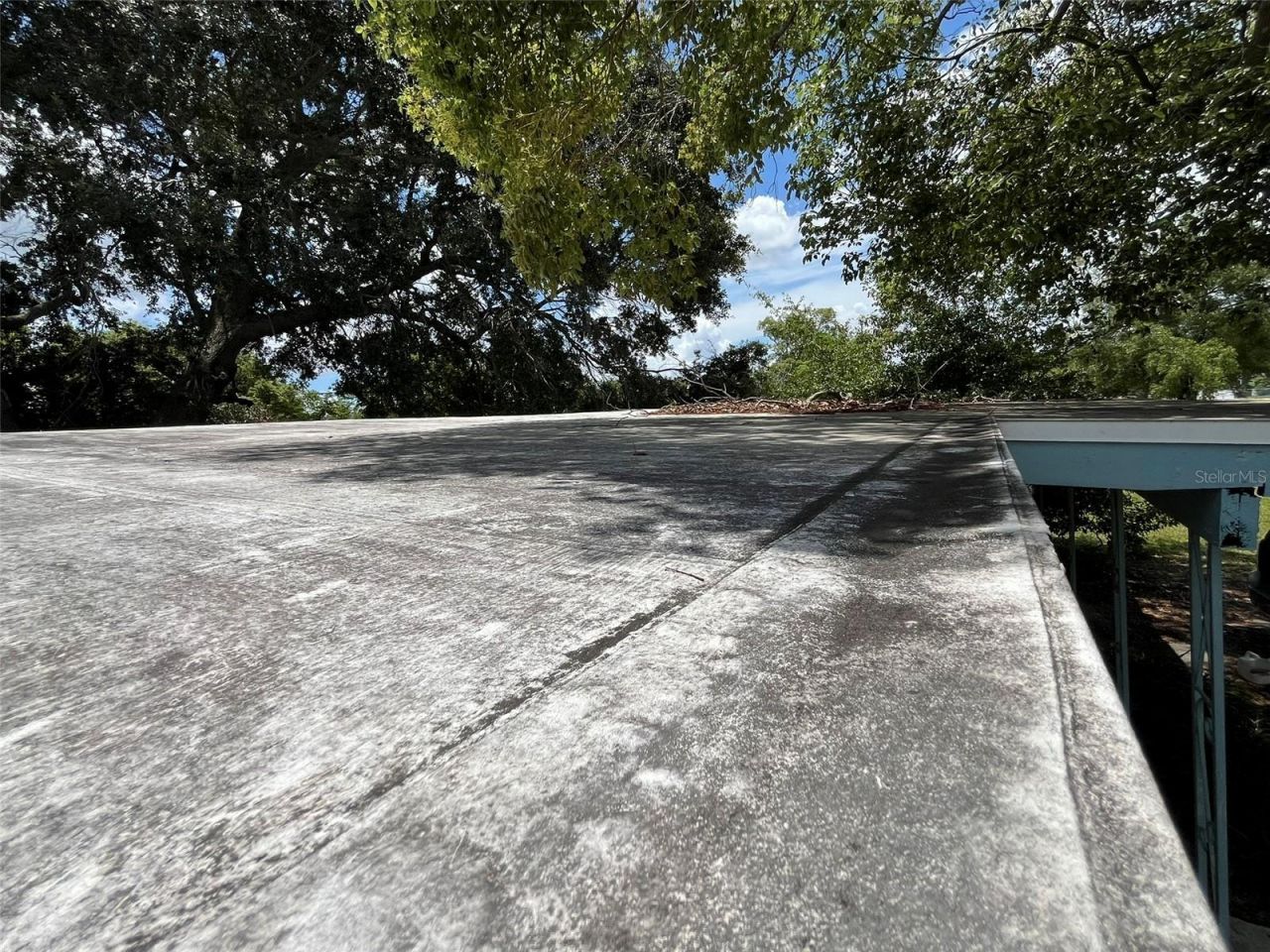 7110 Alvina Way, Orlando, FL 32822 Photo