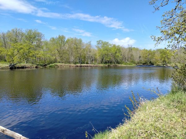 2263 280th Avenue , Brook Park, MN 55007
