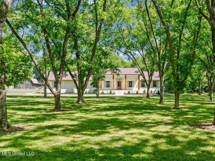 Property Image 43