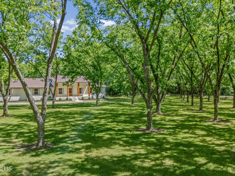 Property Image 55