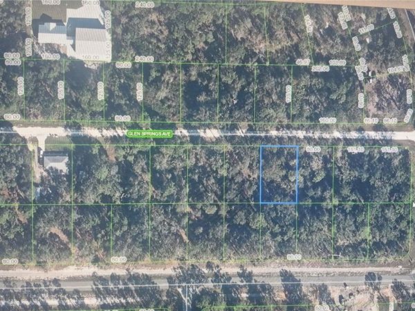 3216 GLEN SPRINGS AVENUE , LAKE PLACID, FL 33852