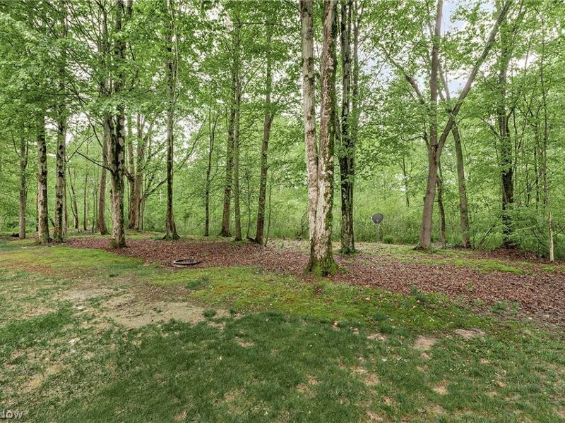 16820 Staffordshire Court, Chagrin Falls, OH 44023 Photo 45