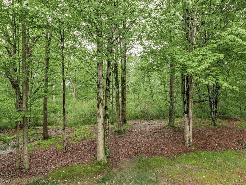 16820 Staffordshire Court, Chagrin Falls, OH 44023 Photo 46