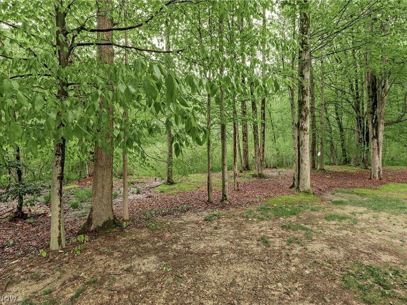 16820 Staffordshire Court, Chagrin Falls, OH 44023 Photo 47