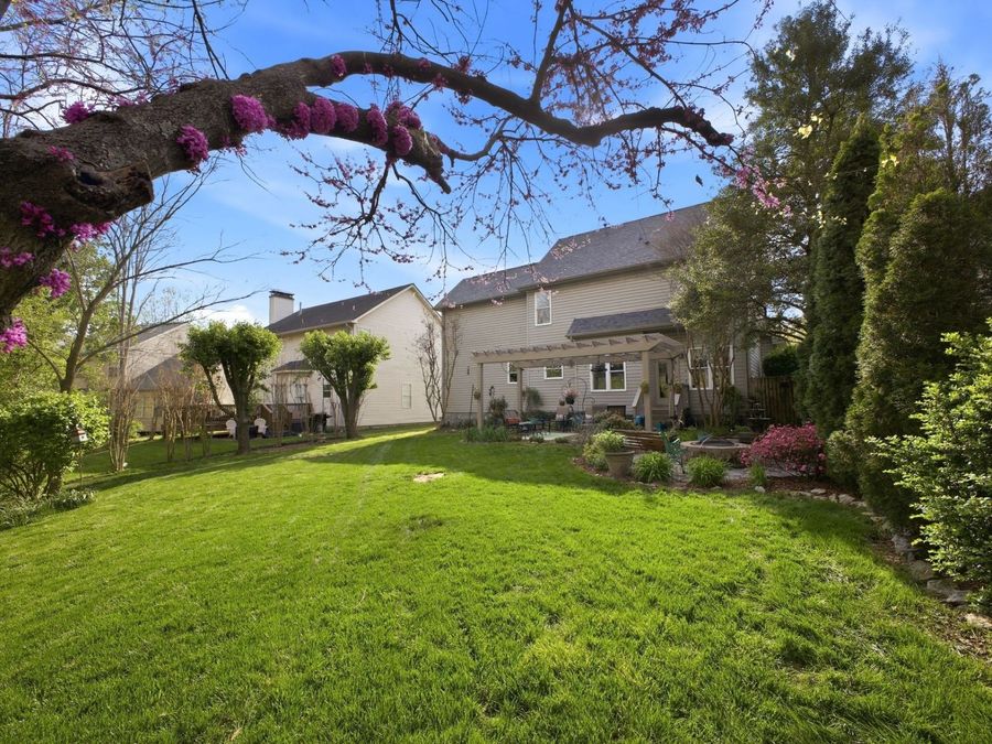 Property Image 49