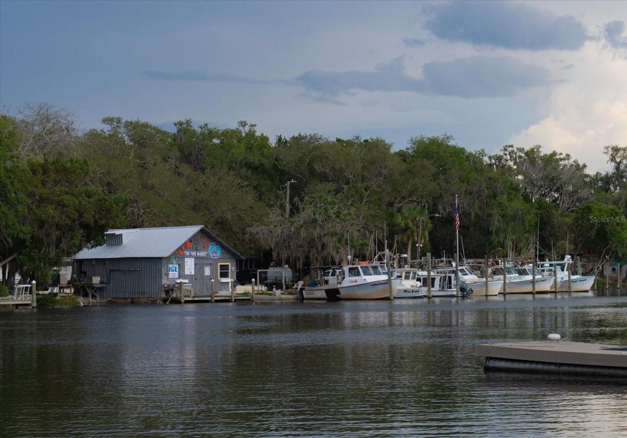 11579 W Rosa Court , Homosassa, FL 34448 Photo