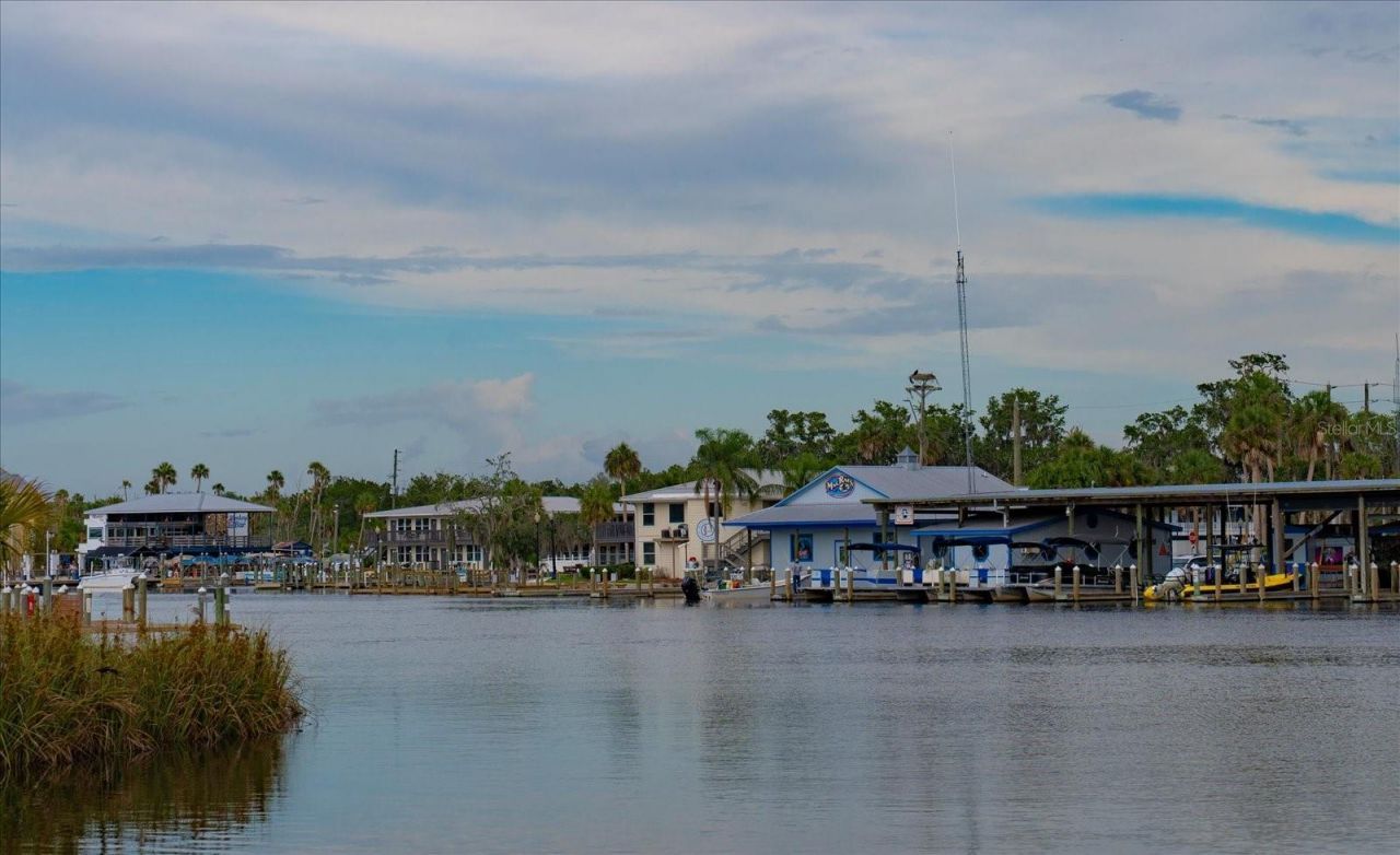 11579 W Rosa Court , Homosassa, FL 34448 Photo