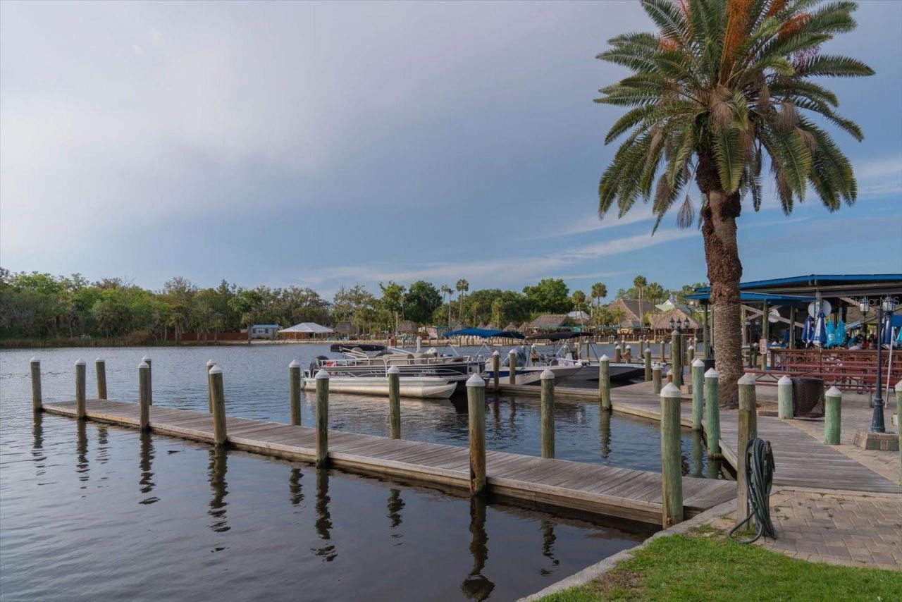 11579 W Rosa Court , Homosassa, FL 34448 Photo