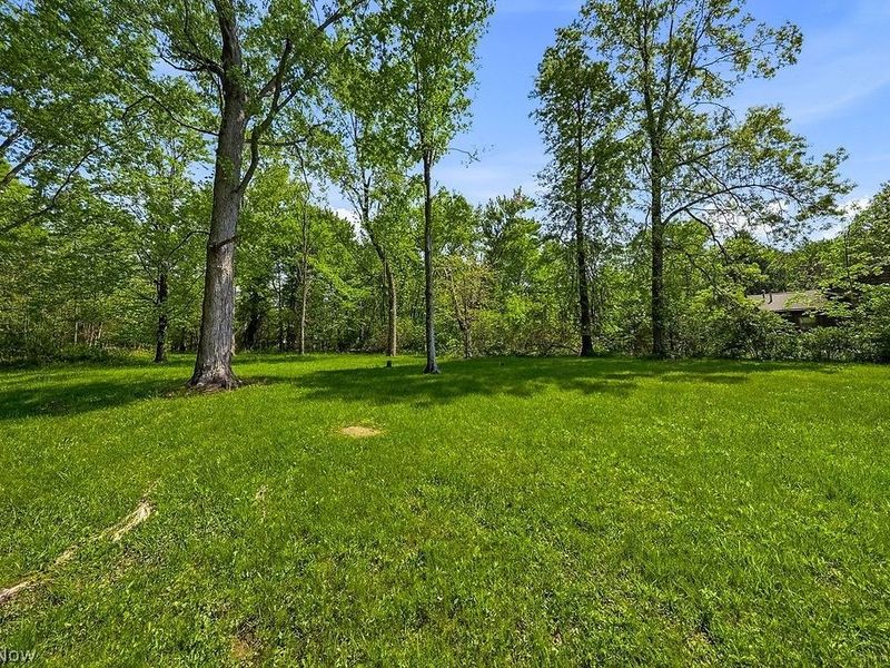 16251 River Street NE, Alliance, OH 44601 Photo 43