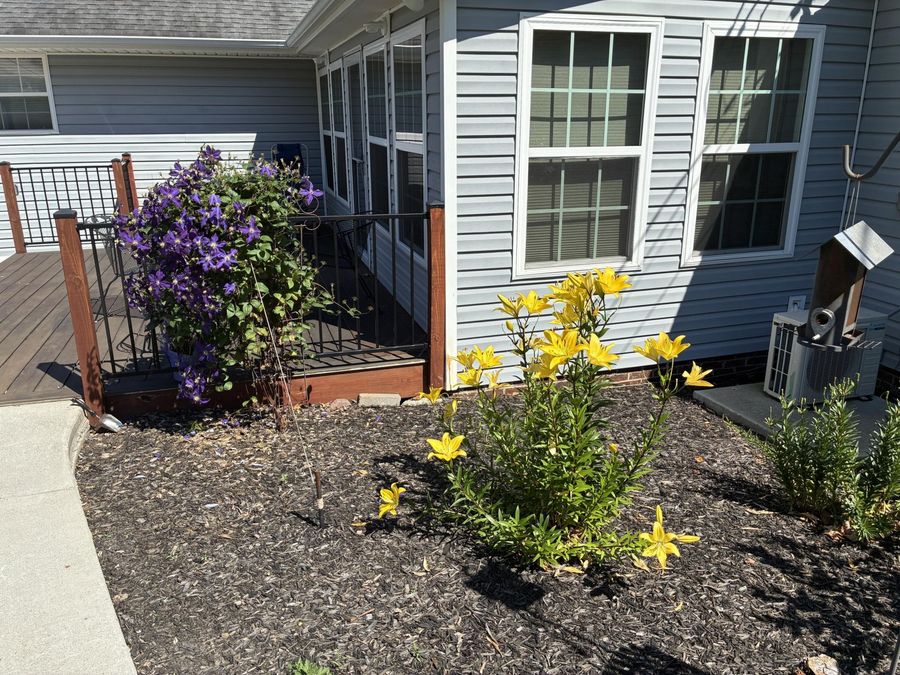 Property Image 62