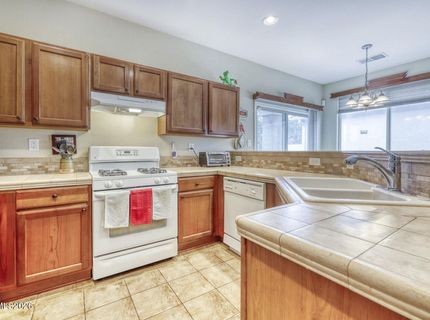 1233 Canvasback Drive, Carson City, NV 89701 Photo
