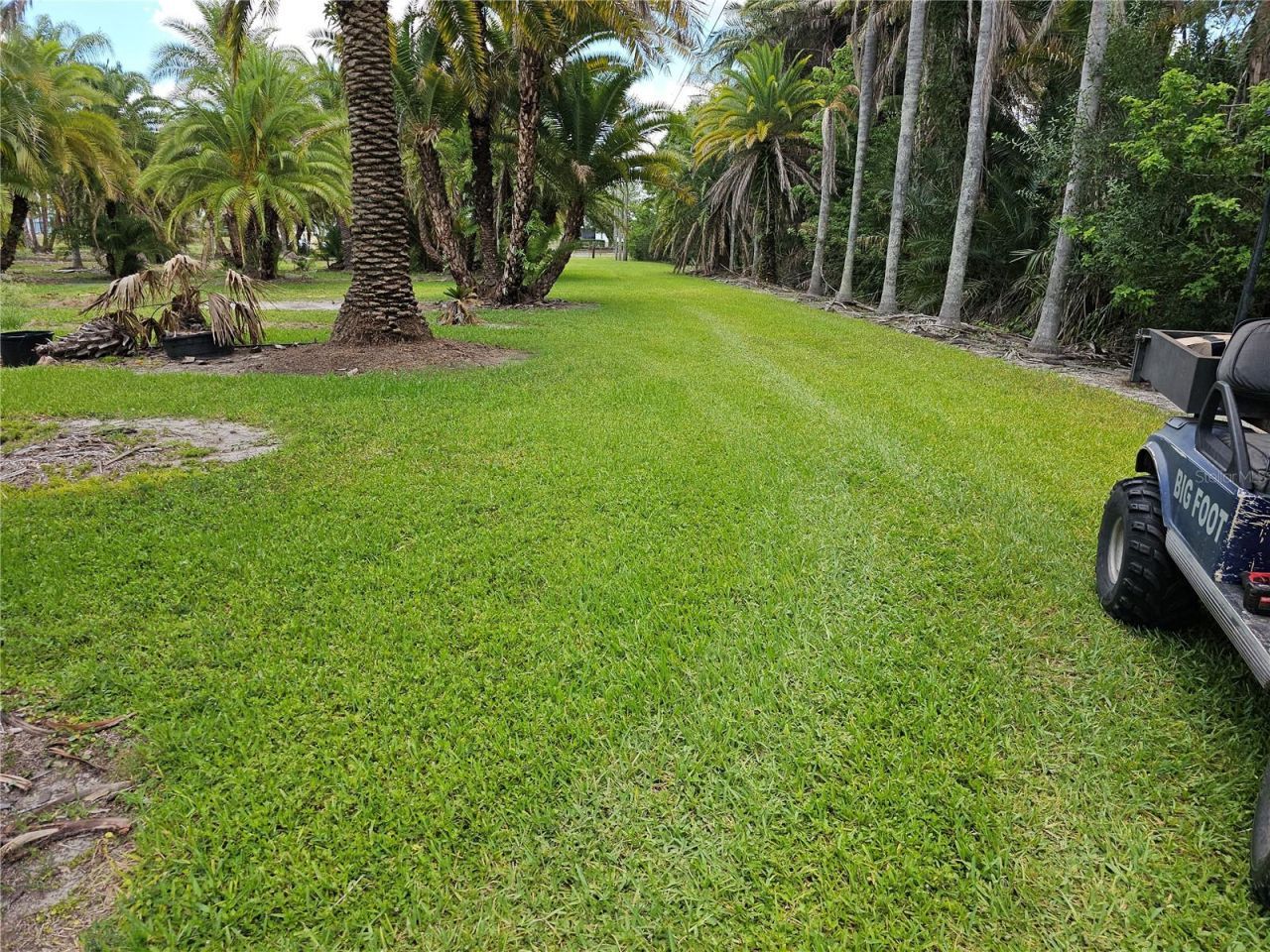 1405 6th Street Se, Ruskin, FL 33570 Photo