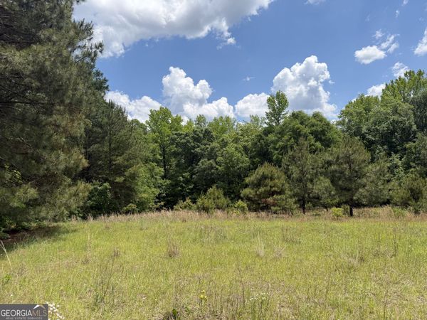 010 Long Branch Rd, Toomsboro, GA 31090