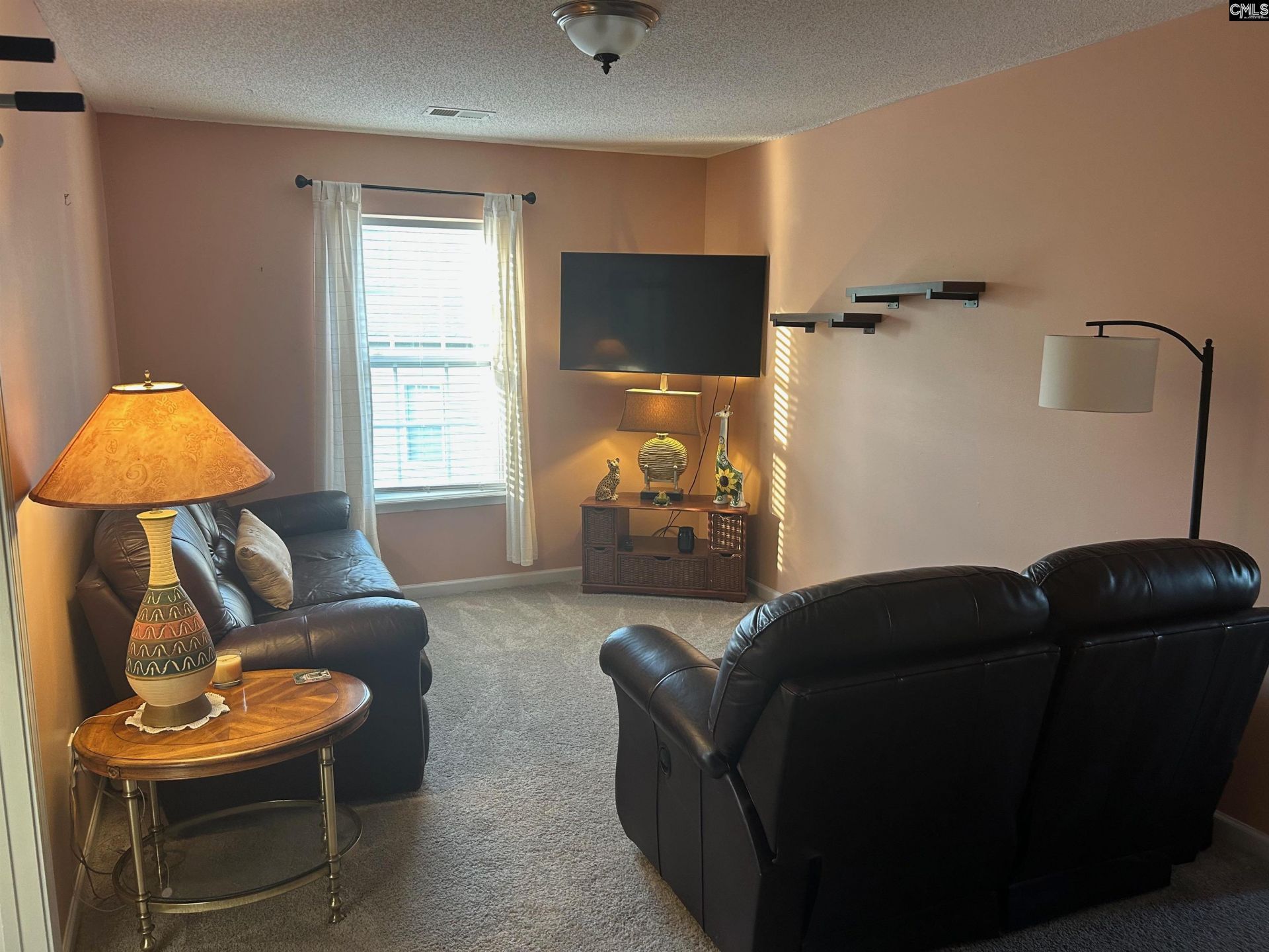 335 Indigo Springs Drive Photo 15