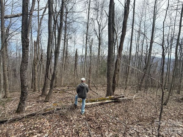 000 Caldwell Mountain Road , Hot Springs, NC 28743